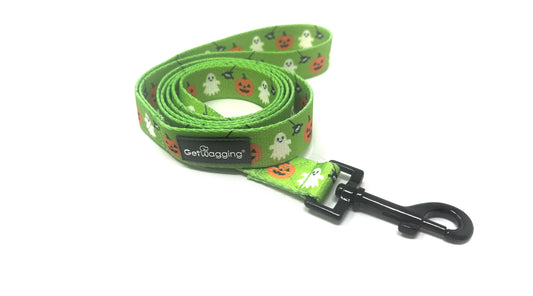 Halloween 2024 Seasonal Leash