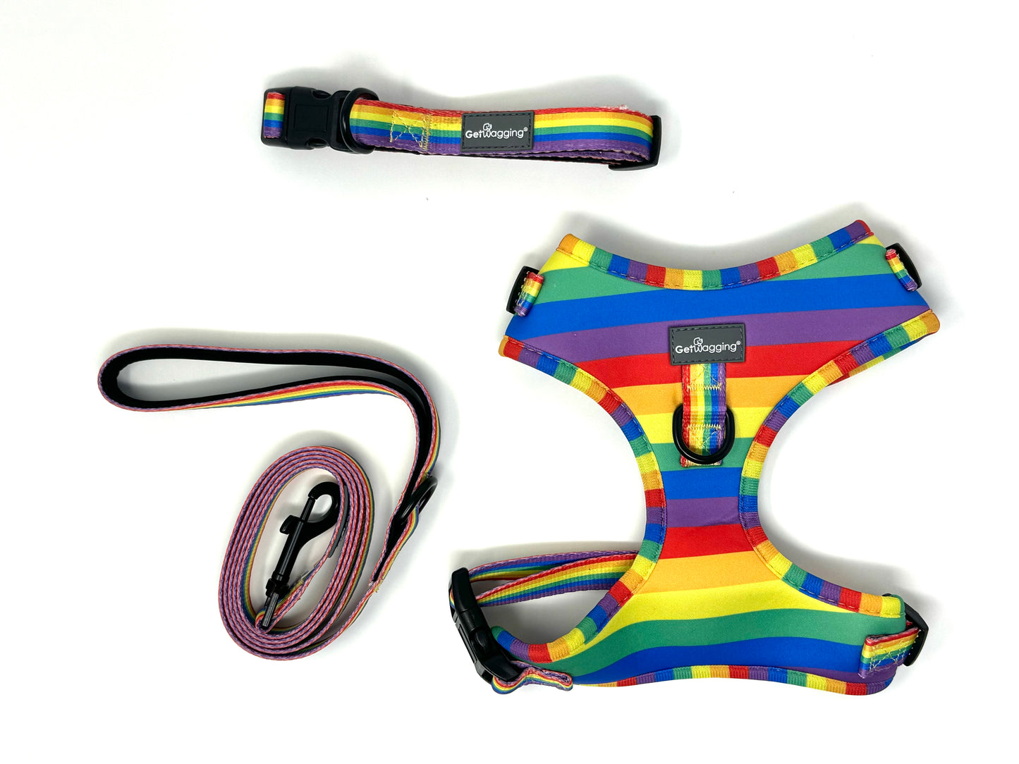 Love is Love Collar, Leash, and Harness Set