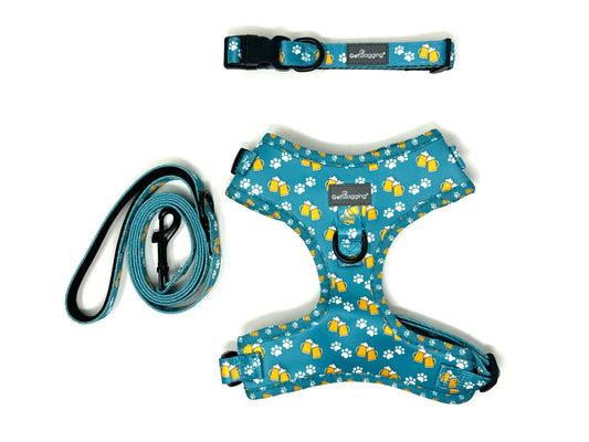 Barks for Beers Collar, Leash, and Harness Set