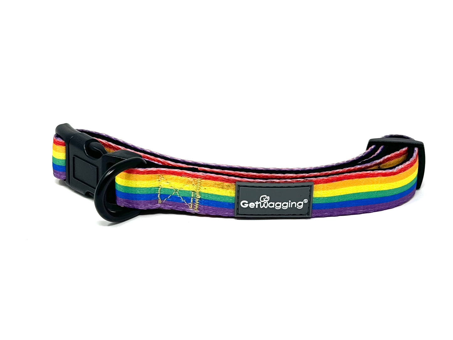 Love is Love Collar and Leash Set