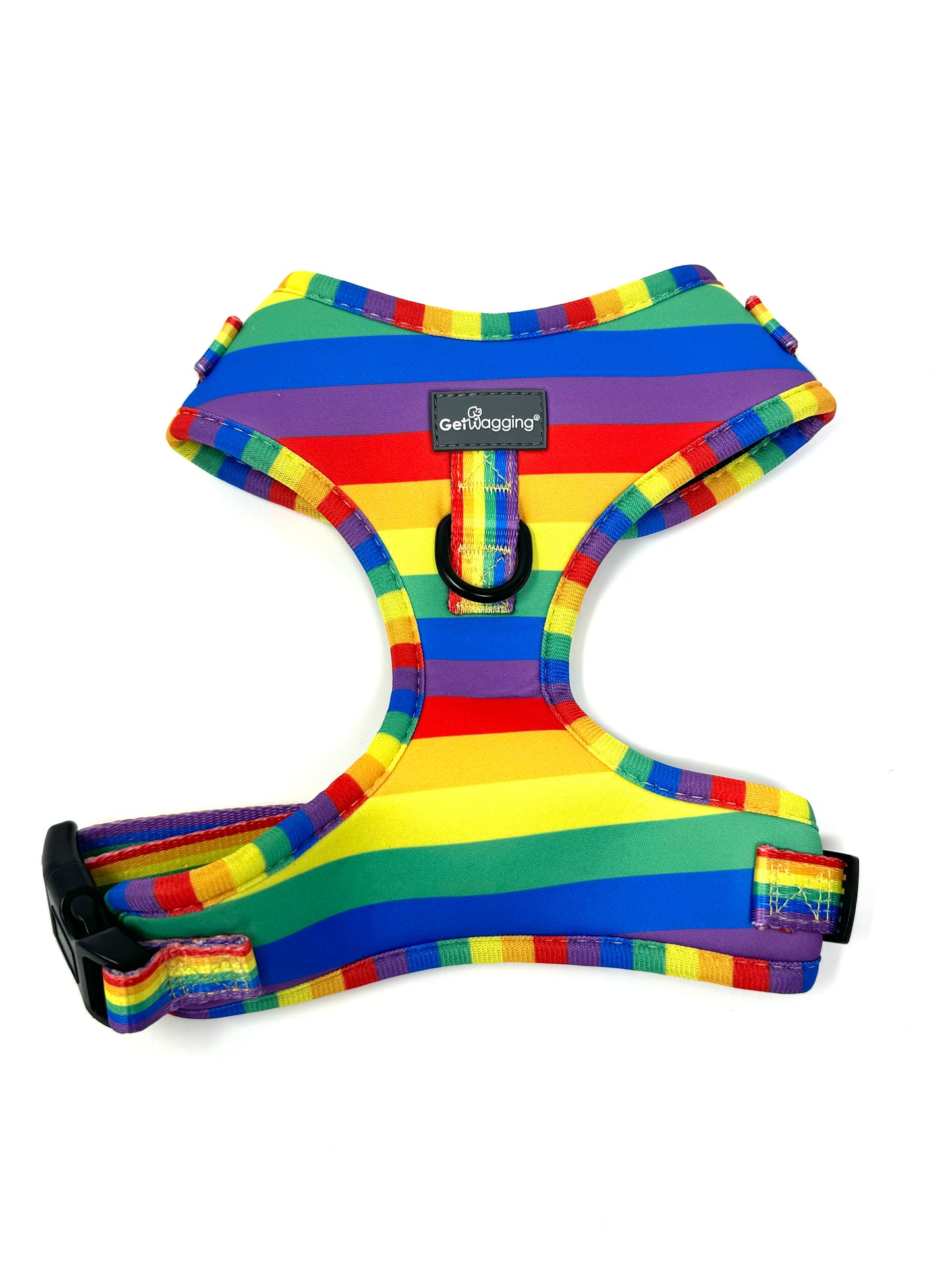 Love is Love Collar, Leash, and Harness Set