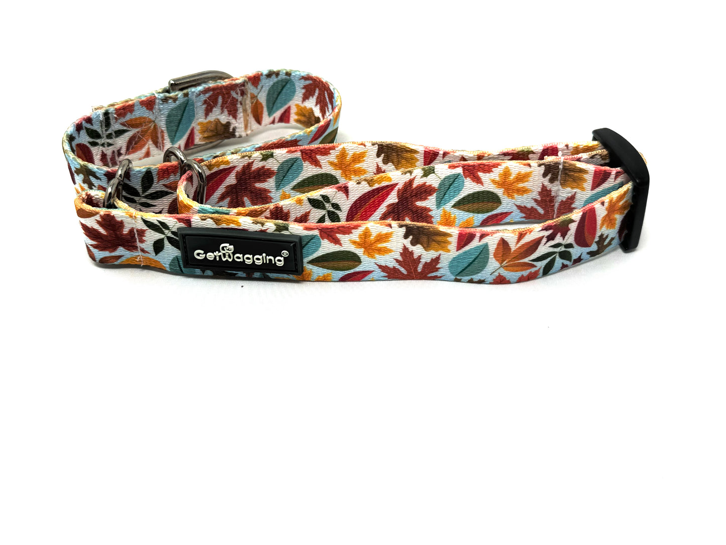 Fall 2024 Seasonal Martingale Collar