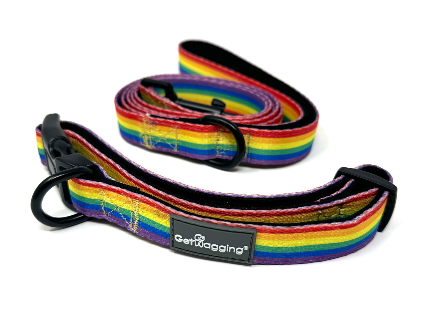 Love is Love Collar and Leash Set