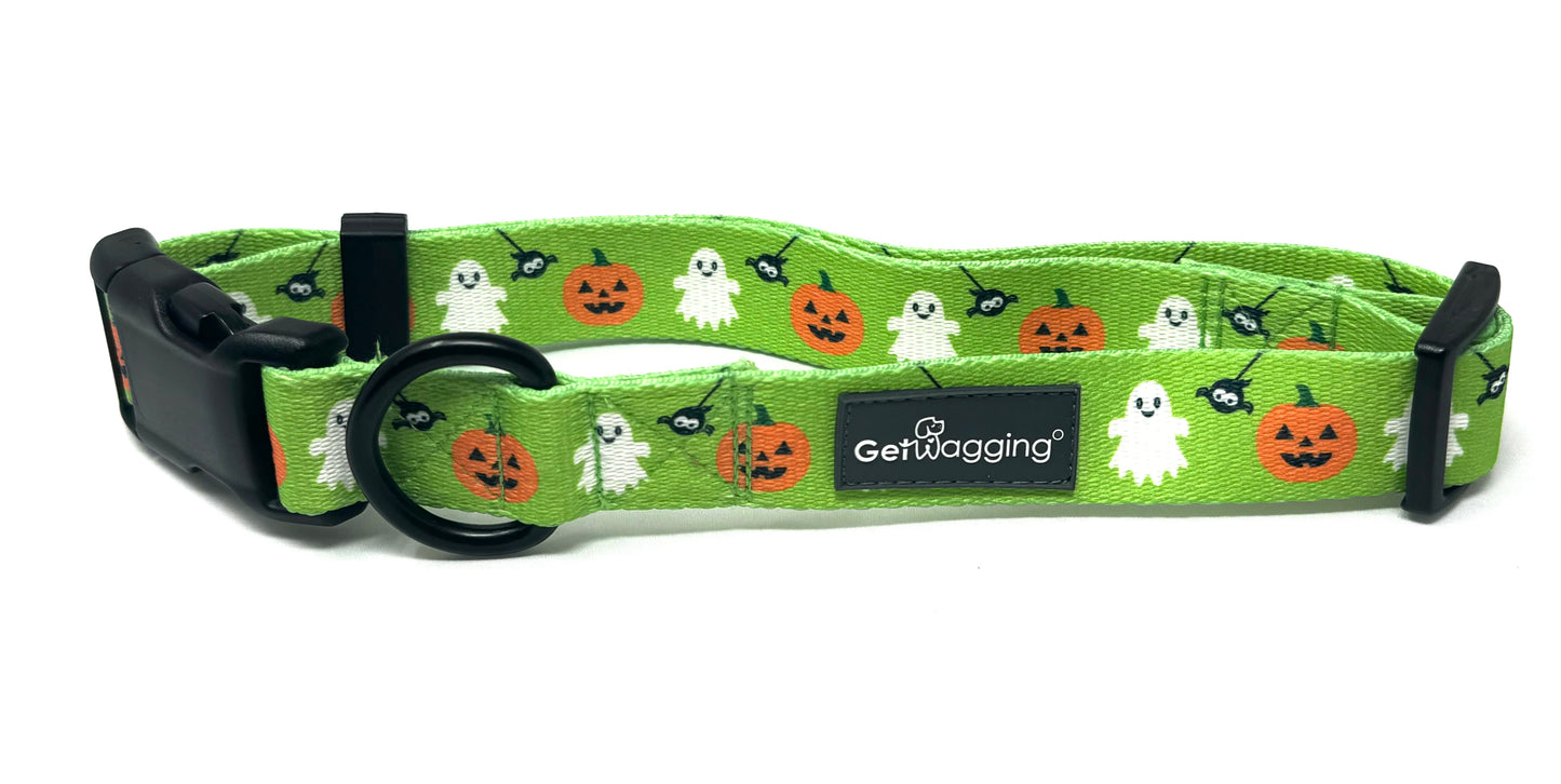 Halloween 2024 Seasonal Collar