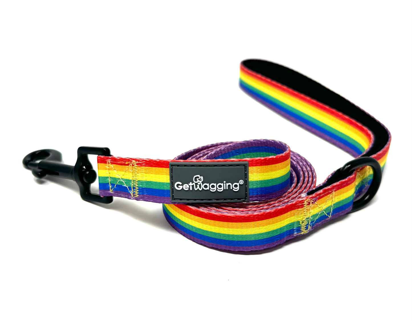 Love is Love Collar and Leash Set