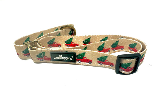 Winter 2024 Seasonal Martingale Collar