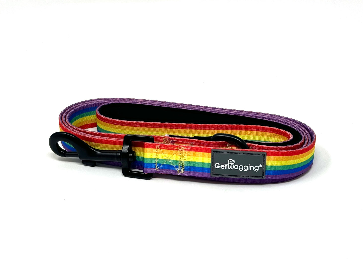 Love is Love Leash